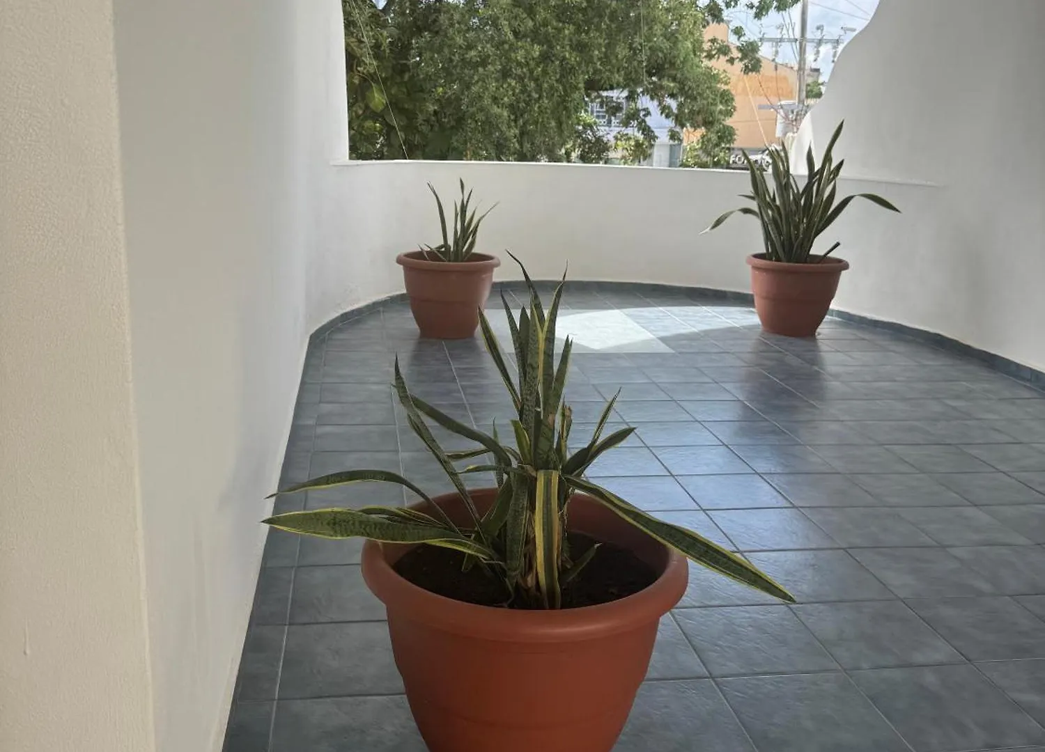 דירות פלאייה דל כרמן Lujo Y Seguridad En Quinta Avenida